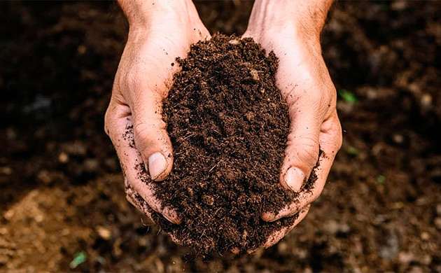 super soil and living soil