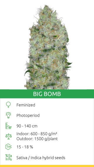 Big Bomb