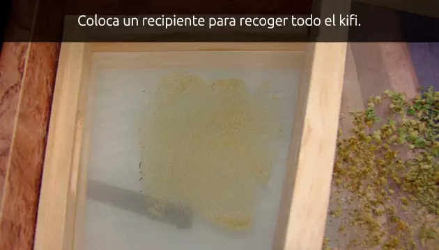 como hacer kifi