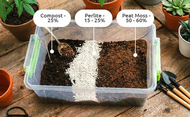 Easy Recipe for Your Own Living Soil create your own living soil