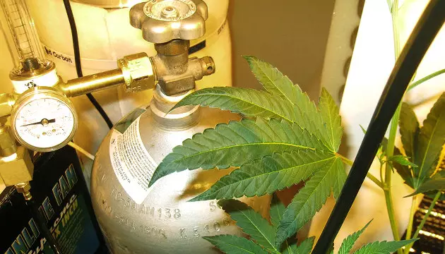 How much CO2 should i add to my garden co2 weed