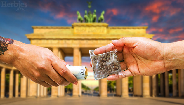 best cannabis seeds to grow in germany