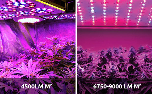 cultivo cannabis con LEDs