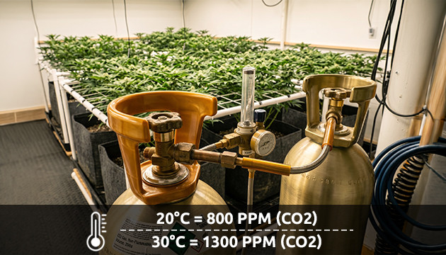 générateur de co2 pour plantes