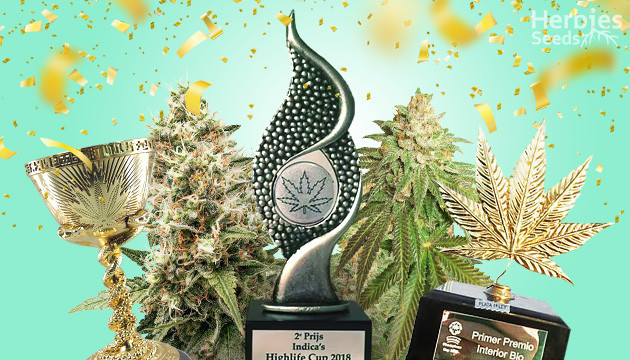 9 Noteworthy Cannabis Cup Champions