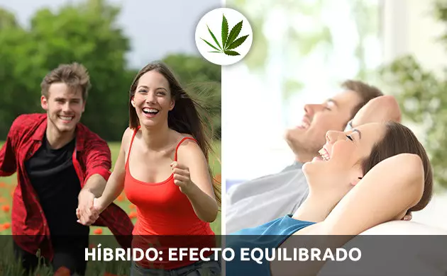 efecto de fumar marihuana 