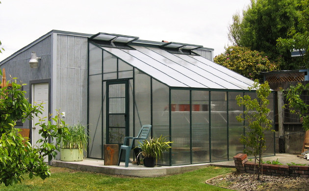 growing weed in a greenhouse 