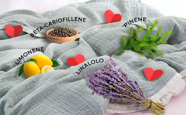 profili terpenici 