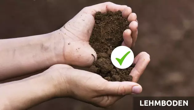 Lehmboden
