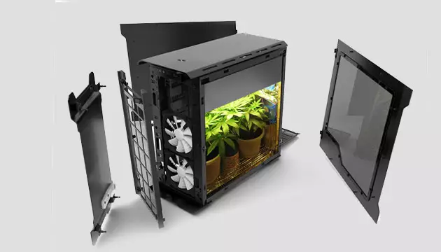 how to grow marijuana