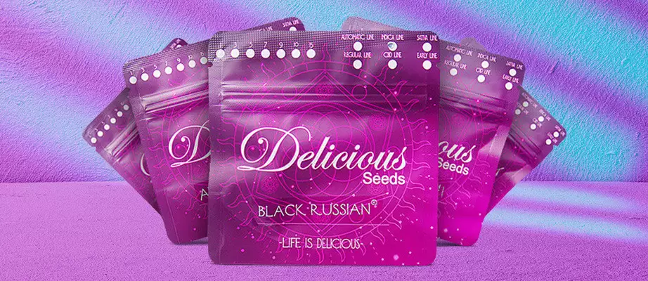 Delicious Seeds buy seeds