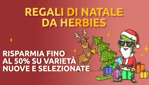 offerta natalizia: fino al 50% di sconto