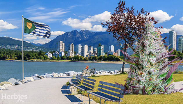 cannabis seeds in vancouver