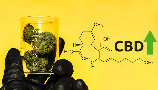 what does autoflowering mean