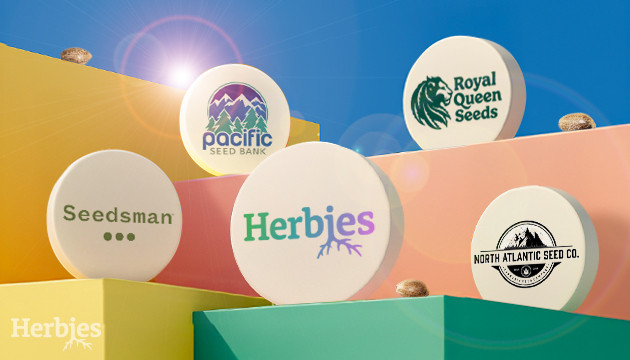 which seed bank comes out on top
