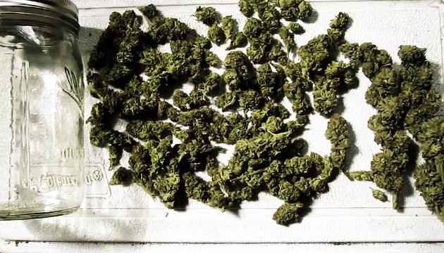 Essiccazione & Concia Cannabis: Migliora la Tua Esperienza di Gusto Con  Erba Perfettamente Conciata! - Herbies