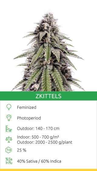 Zkittels