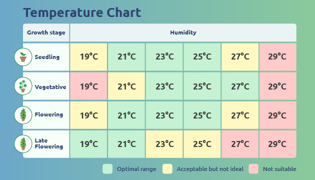 temperature chart