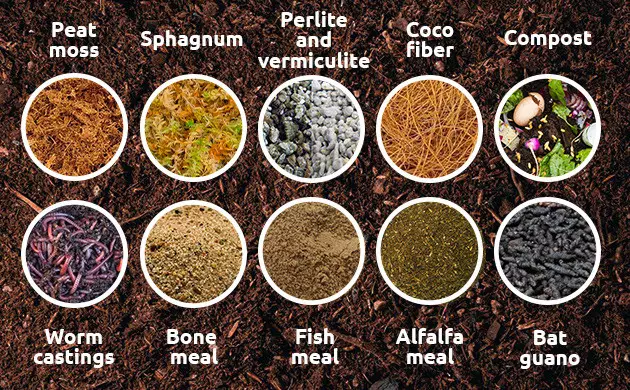 what is living soil made of