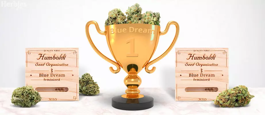 Humboldt Seeds Bewertungen