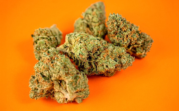 top shelf weed