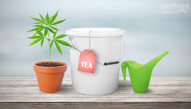 Why Use Compost Tea For Cannabis Cultivation?