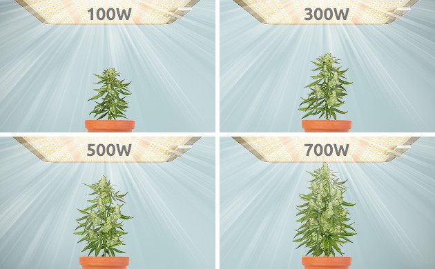 Gram Per Watt: Myth or Reality?