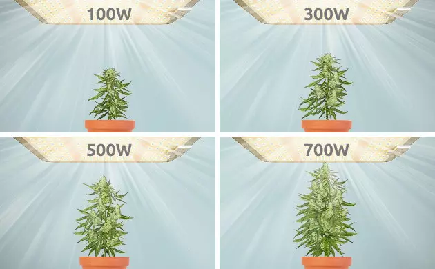 Gram Per Watt: Myth or Reality?