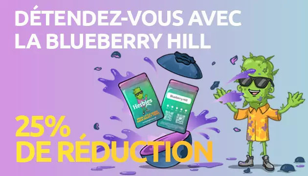 summer special 1 herbies obtenez 25 de reduction sur la blueberry hill