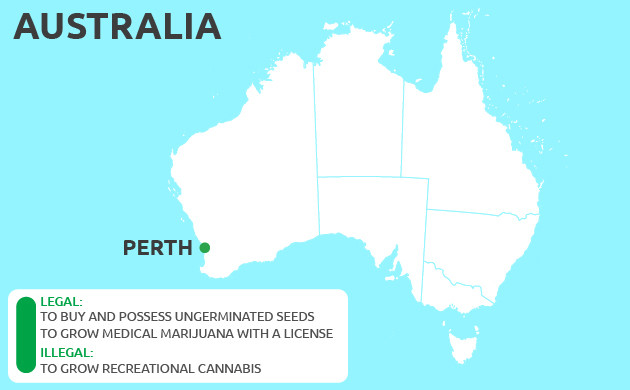 Can You Grow Cannabis in Perth
