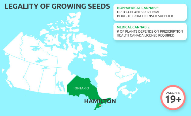 can you grow cannabis in hamilton