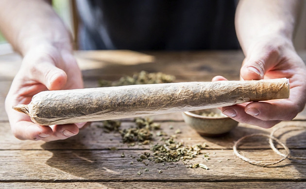 Myth: you can overdose on THC interesting facts about marijuana