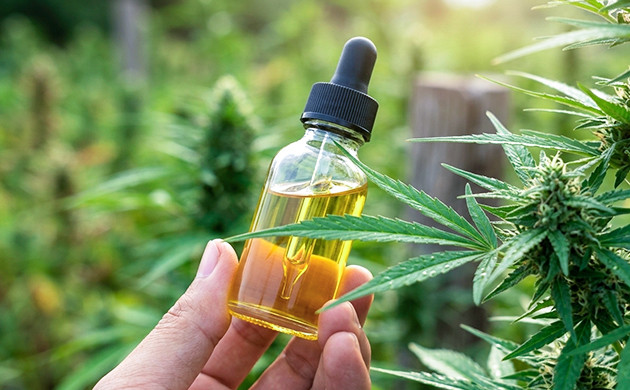how to protect marijuana plants from frost