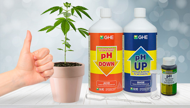 how to lower ph in water for cannabis