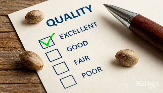 Quality weed seeds and why you need them what do weed seeds look like