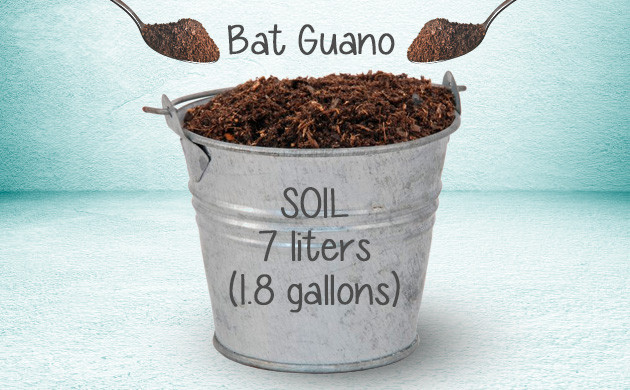 bat guano for cannabis