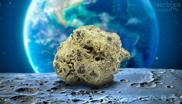 cannabis moon rocks