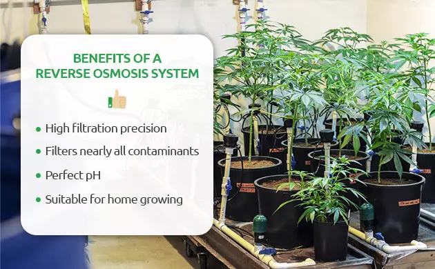 Is Reverse Osmosis Water Good for Plants?