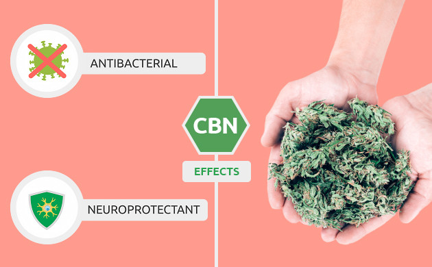 What makes cannabinoids work? 