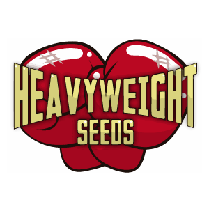 Cannabis seeds by Heavyweight Seeds