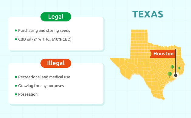 legal status in houston