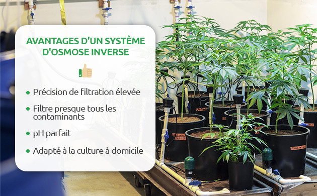 l’eau par osmose inverse est-elle bonne pour les plantes ?