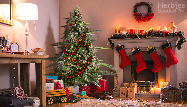 echa un vistazo a estas 6 marihuanas que parecen arbolitos de Navidad