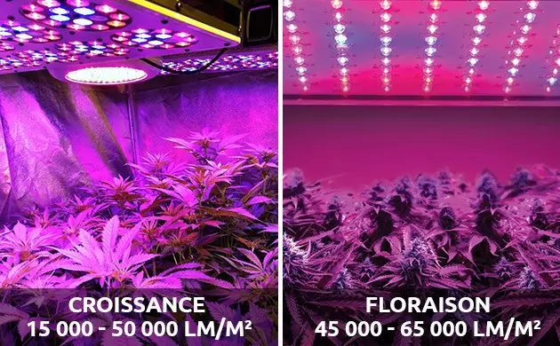 what is bad about led lights
