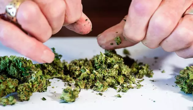 marihuana grinder