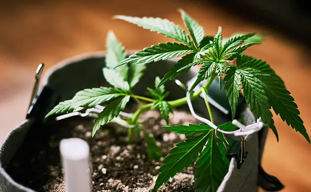lst