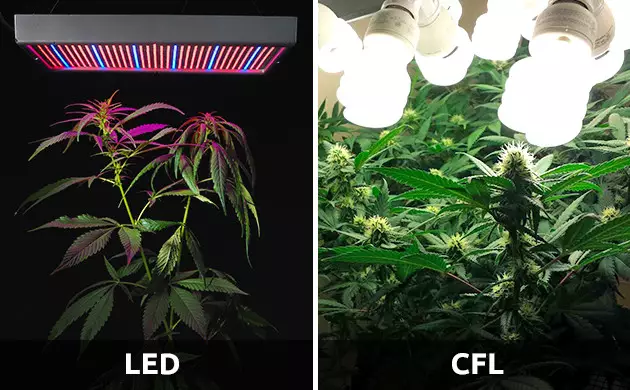 choix du type de lampe