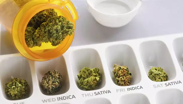 strains indicas e sativas tem beneficios medicos diferentes