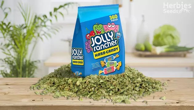 Jolly Rancher Edibles Recipe in 8 Easy Steps