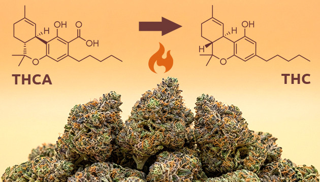Un peu de chimie : la décarboxylation